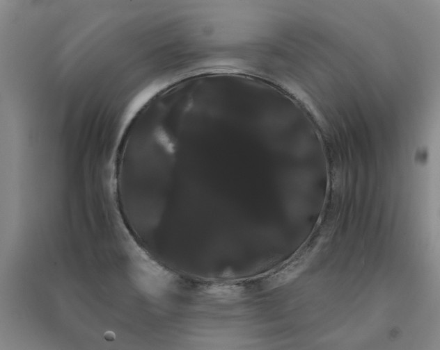 X0000091241466200708161726