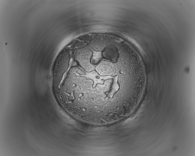 X0000091241467200708161726