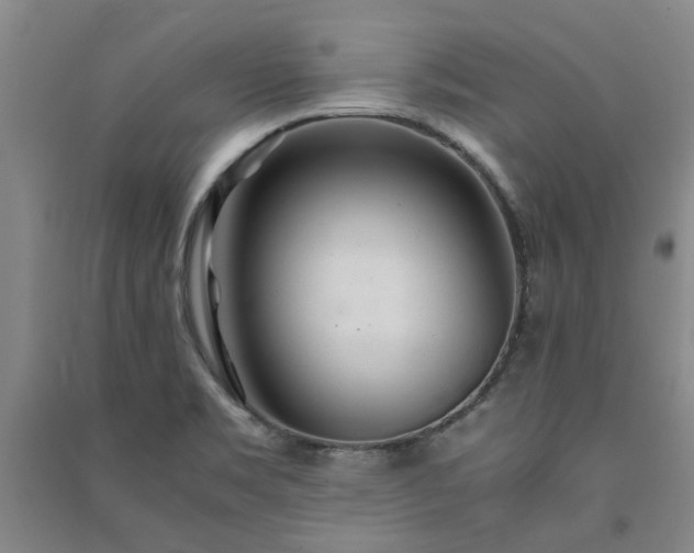 X0000091241469200708161726