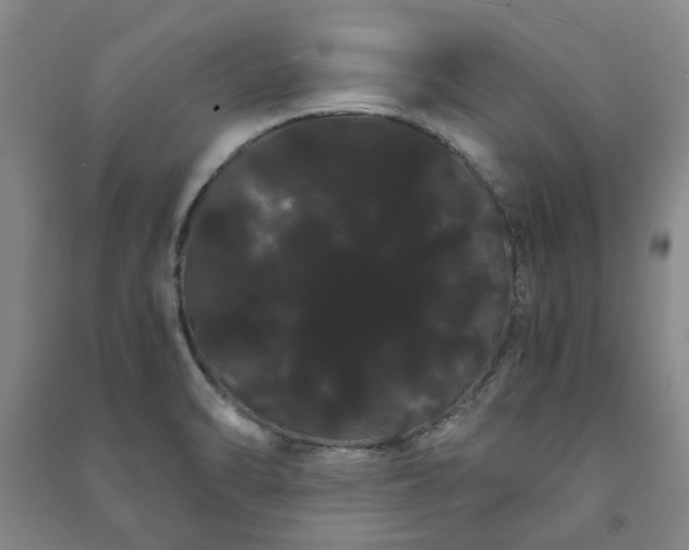 X0000091241470200708161726