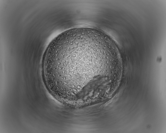 X0000091241471200708161726