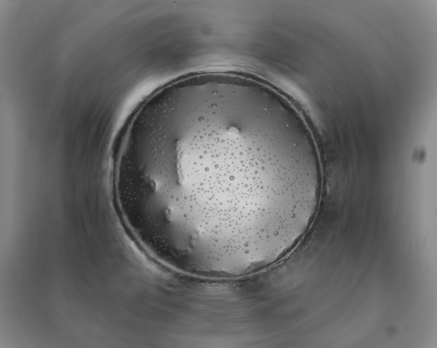 X0000091241472200708161726