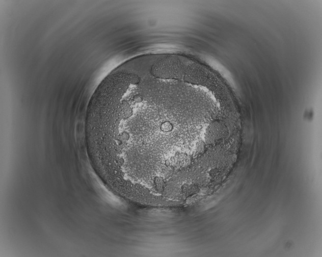 X0000091241473200708161726