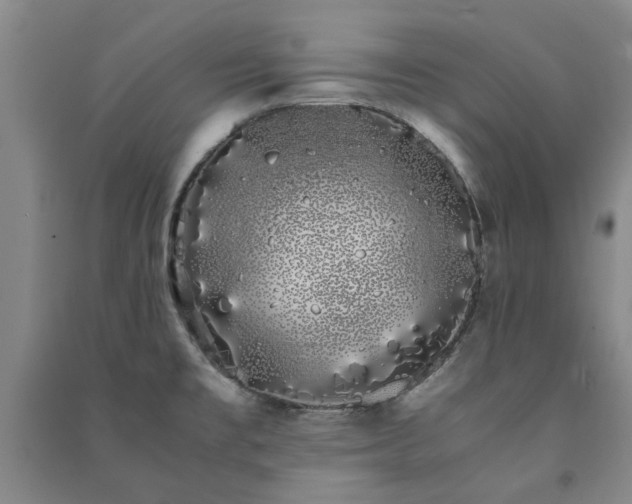 X0000091241477200708161726
