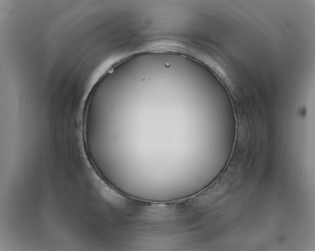 X0000091241478200708161726