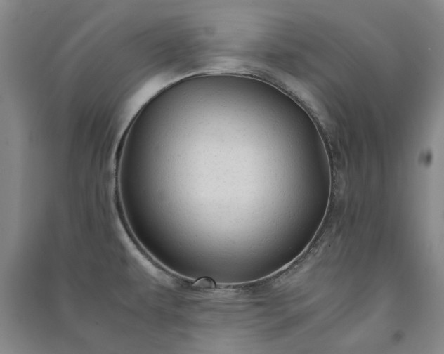 X0000091241479200708161726