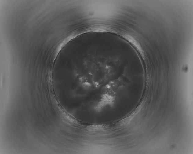 X0000091241481200708161726