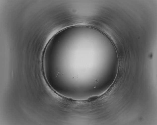 X0000091241483200708161726