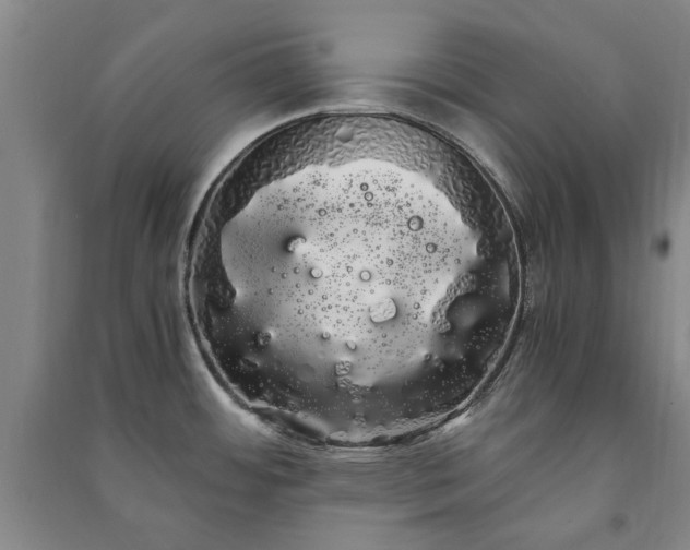 X0000091241484200708161726