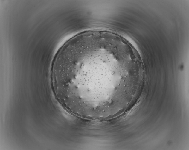 X0000091241485200708161726
