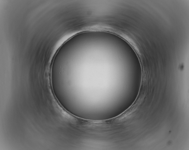 X0000091241486200708161726