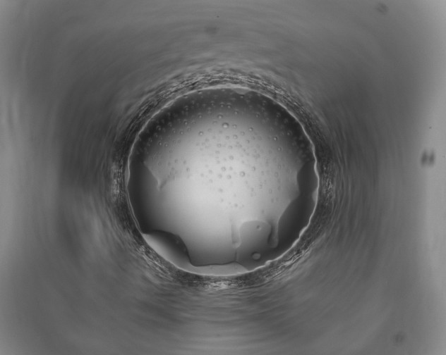 X0000091241490200708161726