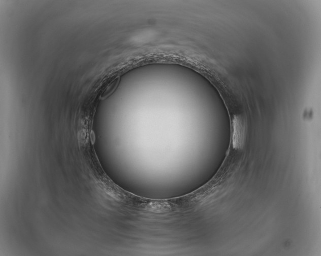 X0000091241491200708161726