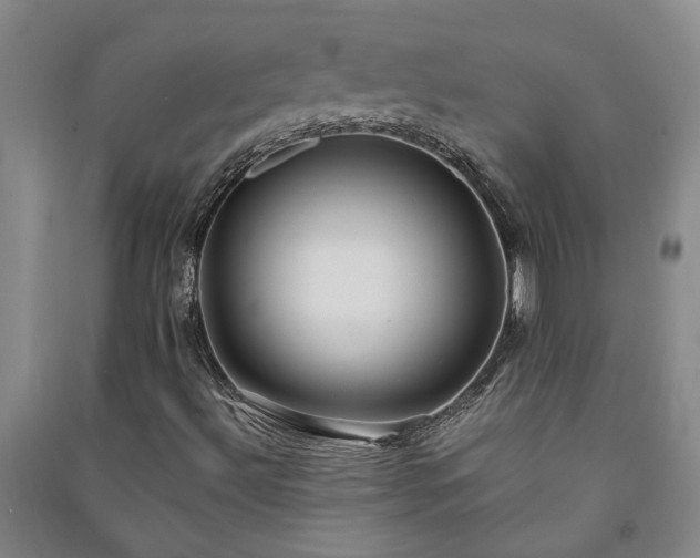 X0000091241492200708161726