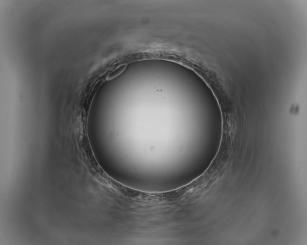 X0000091241493200708161726