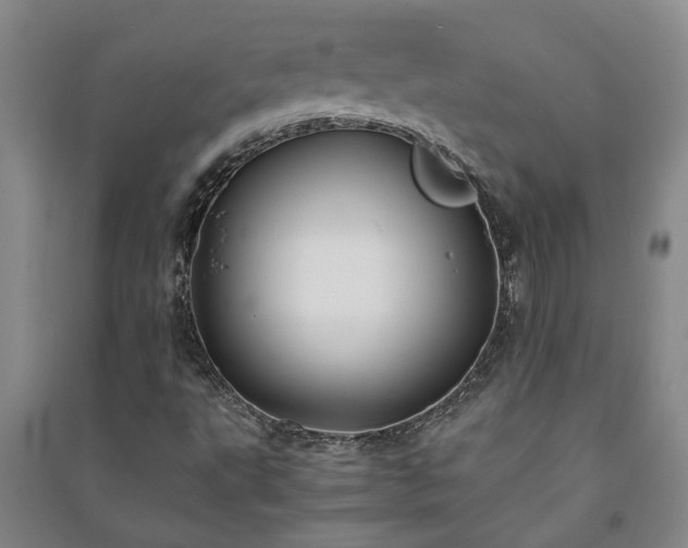 X0000091241495200708161726