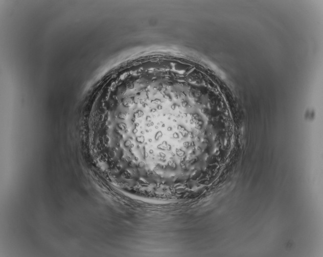 X0000091241496200708161726