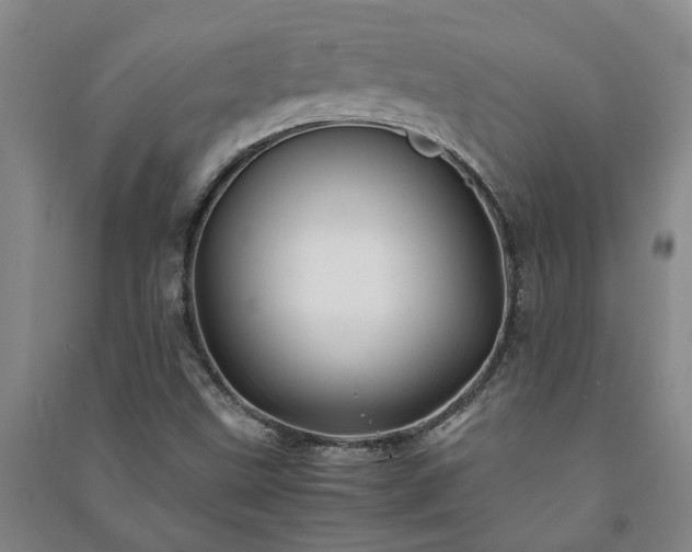 X0000091241499200708161726