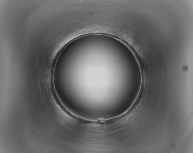 X0000091241500200708161726