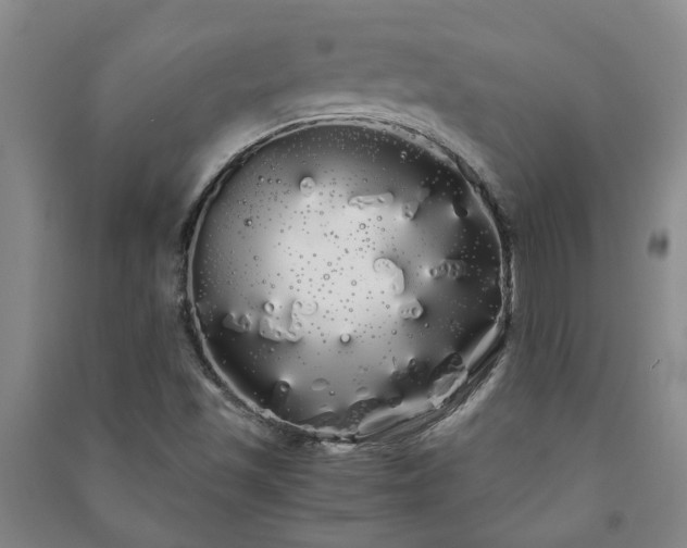 X0000091241501200708161726