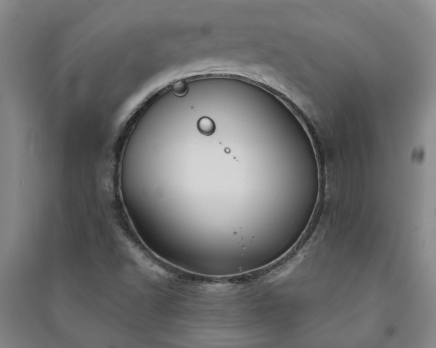 X0000091241502200708161726