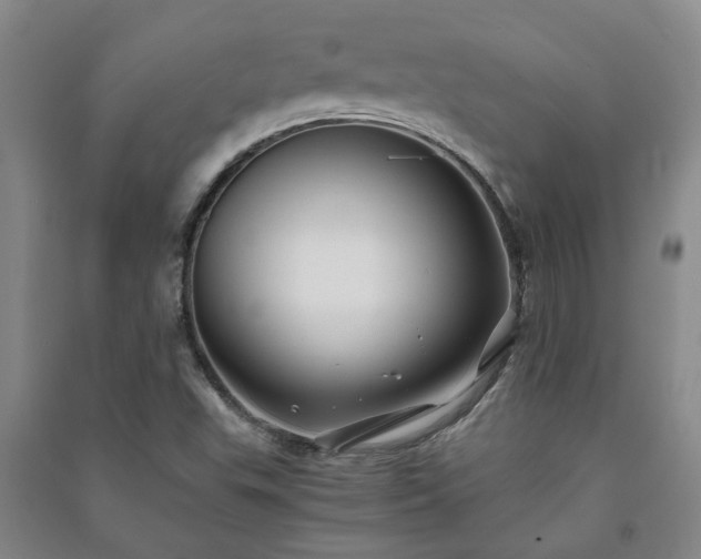 X0000091241503200708161726