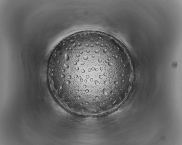 X0000091241504200708161726