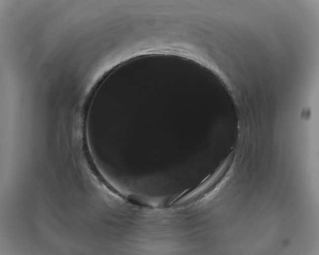X0000091241506200708161726
