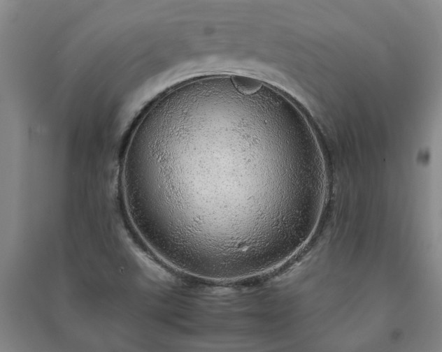 X0000091241507200708161726
