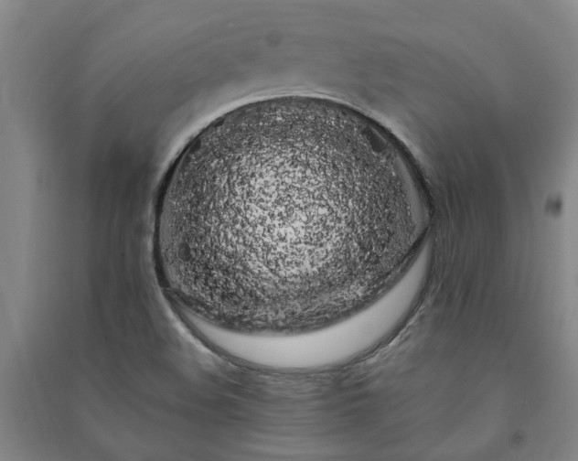 X0000091241508200708161726