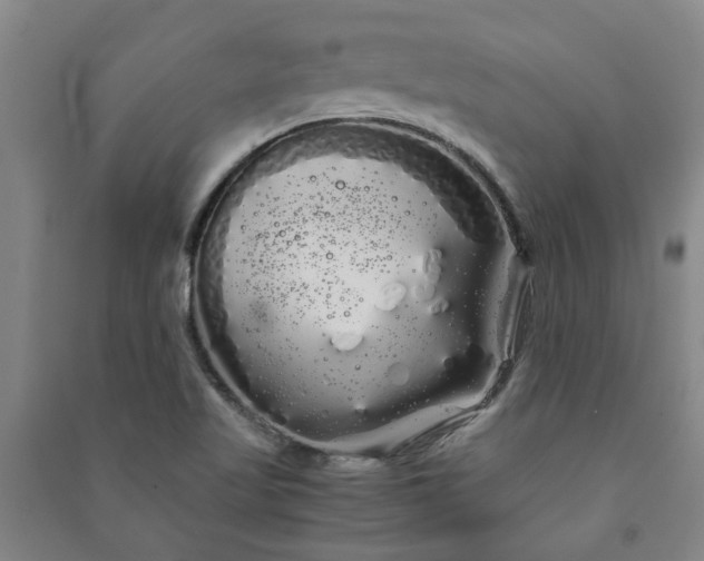 X0000091241509200708161726