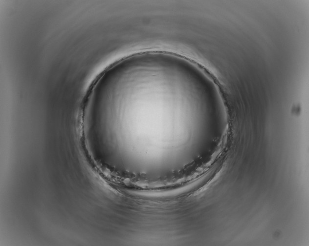 X0000091241510200708161726