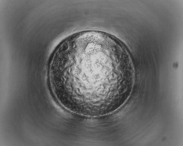 X0000091241511200708161726