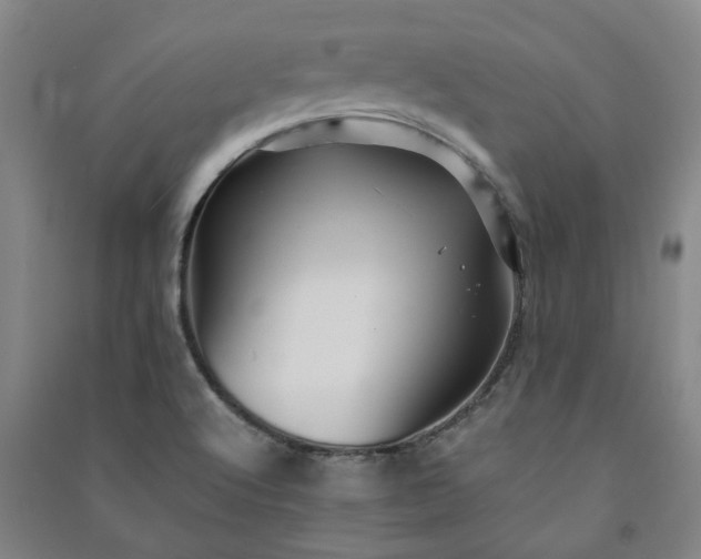 X0000091241512200708161726