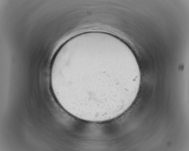 X0000091241514200708161726