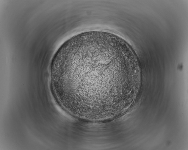X0000091241515200708161726