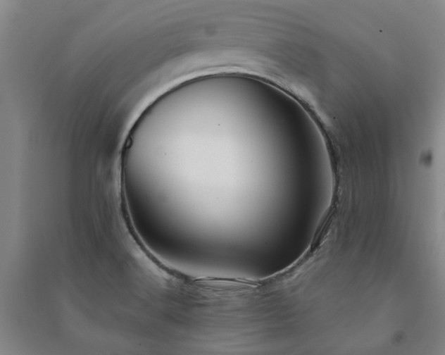 X0000091241516200708161726