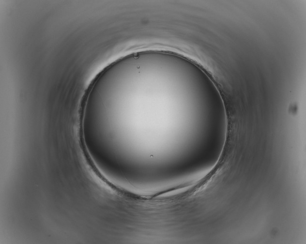 X0000091241518200708161726