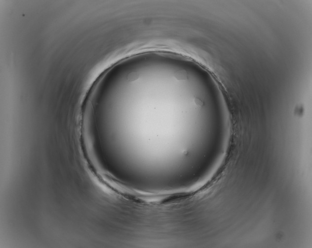 X0000091241519200708161726
