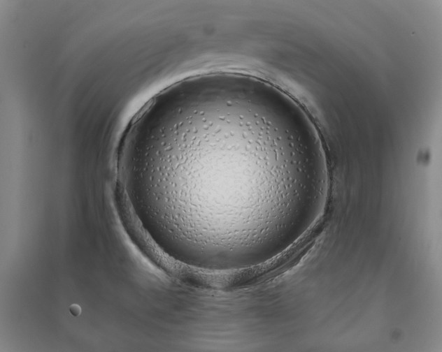 X0000091241520200708161726