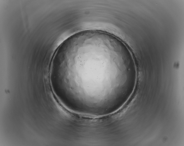 X0000091241521200708161726