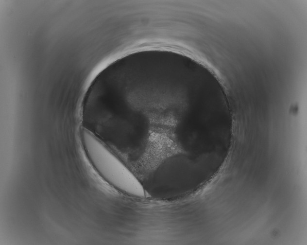 X0000091241522200708161726