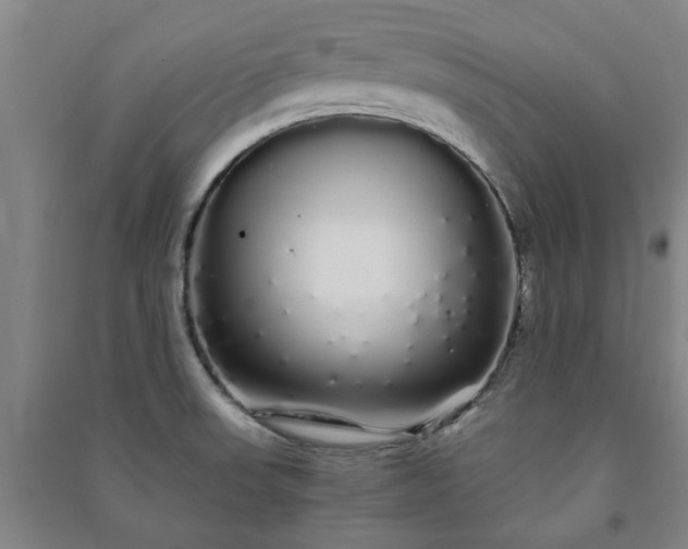 X0000091241523200708161726