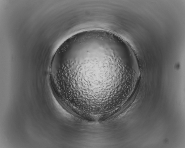 X0000091241524200708161726