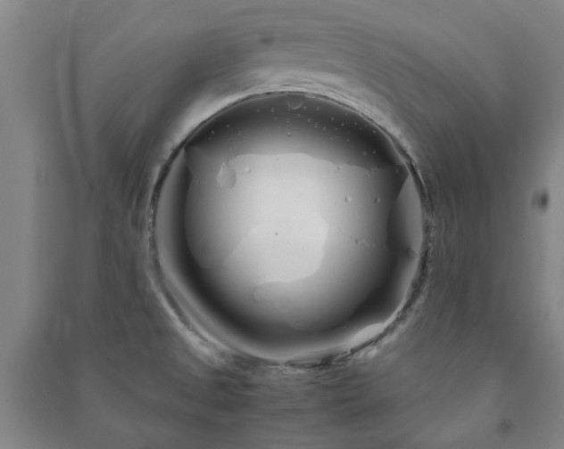 X0000091241525200708161726
