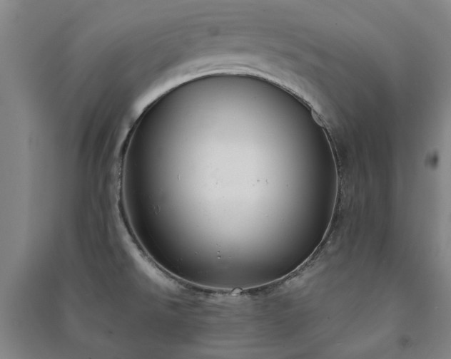 X0000091241526200708161726