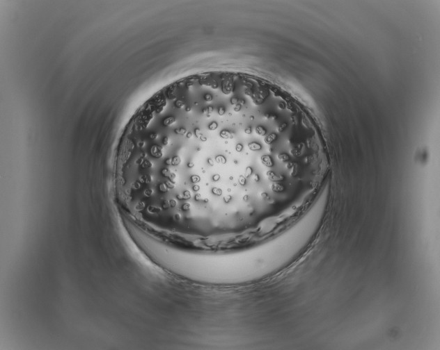 X0000091241528200708161726