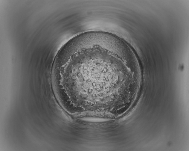 X0000091241529200708161726