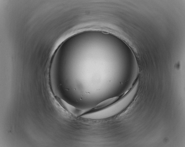 X0000091241530200708161726