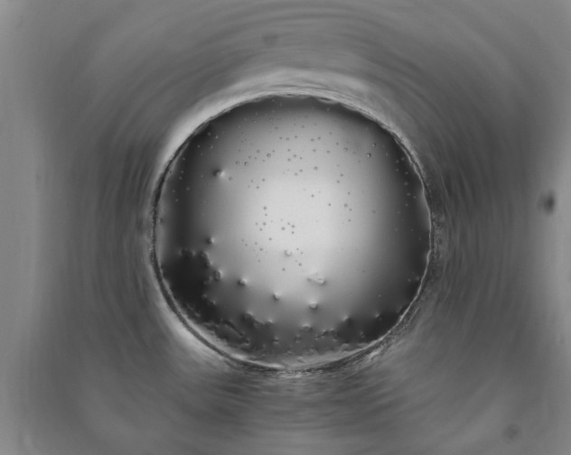 X0000091241531200708161726